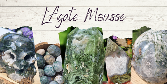 L'Agate mousse