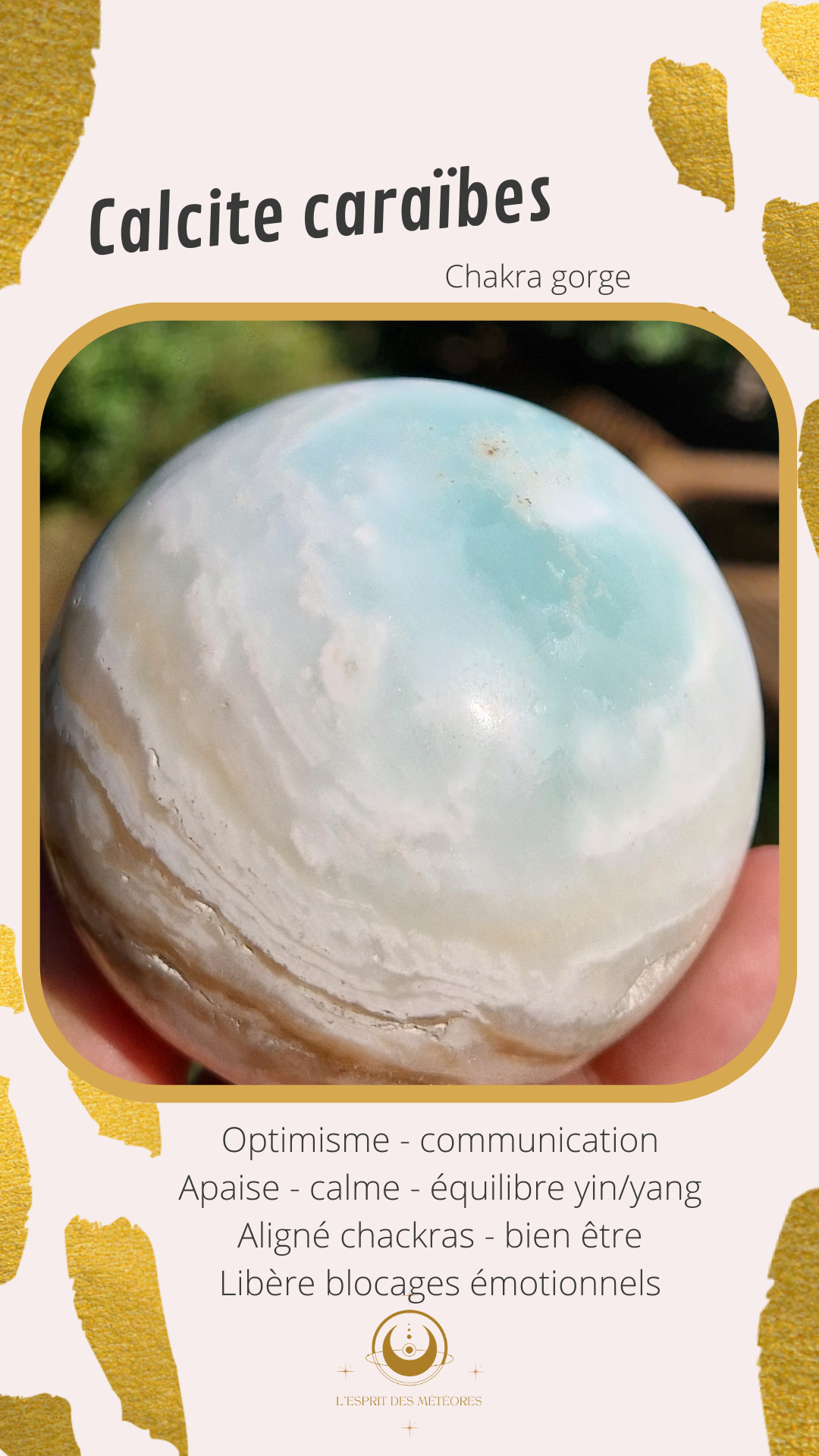 Pointe Calcite Caraïbes (à choisir)