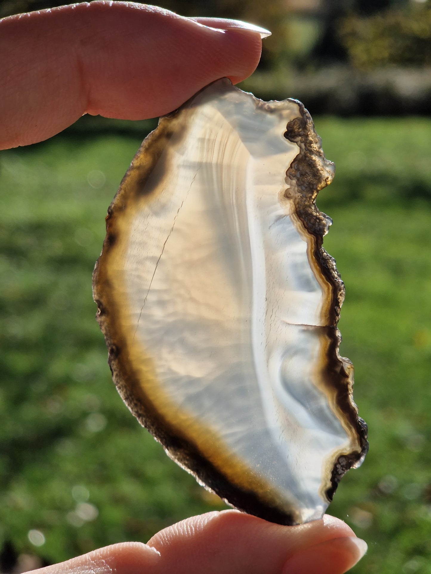 Tranche d'Agate du Brésil C