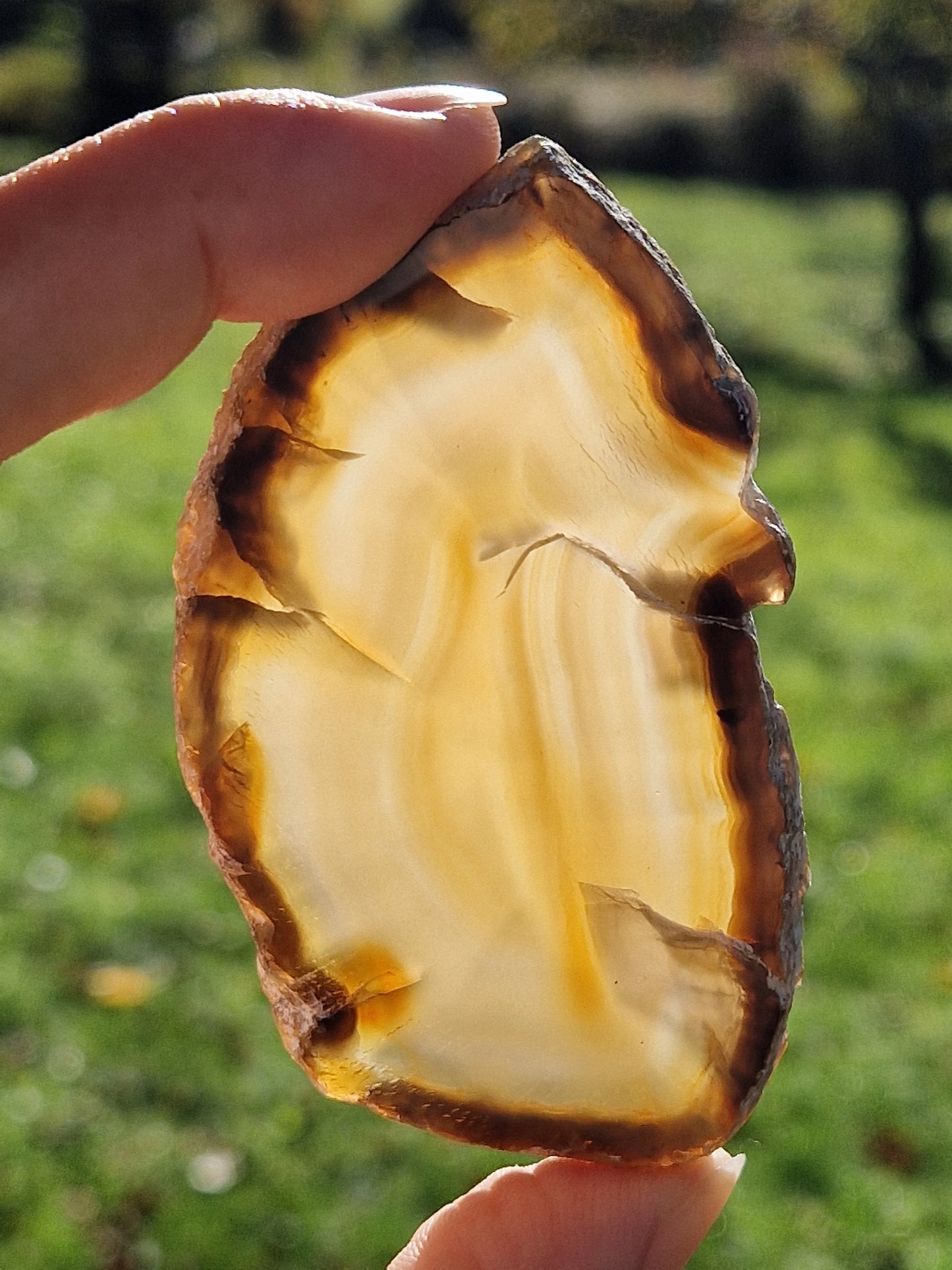 Tranche d'Agate du Brésil B