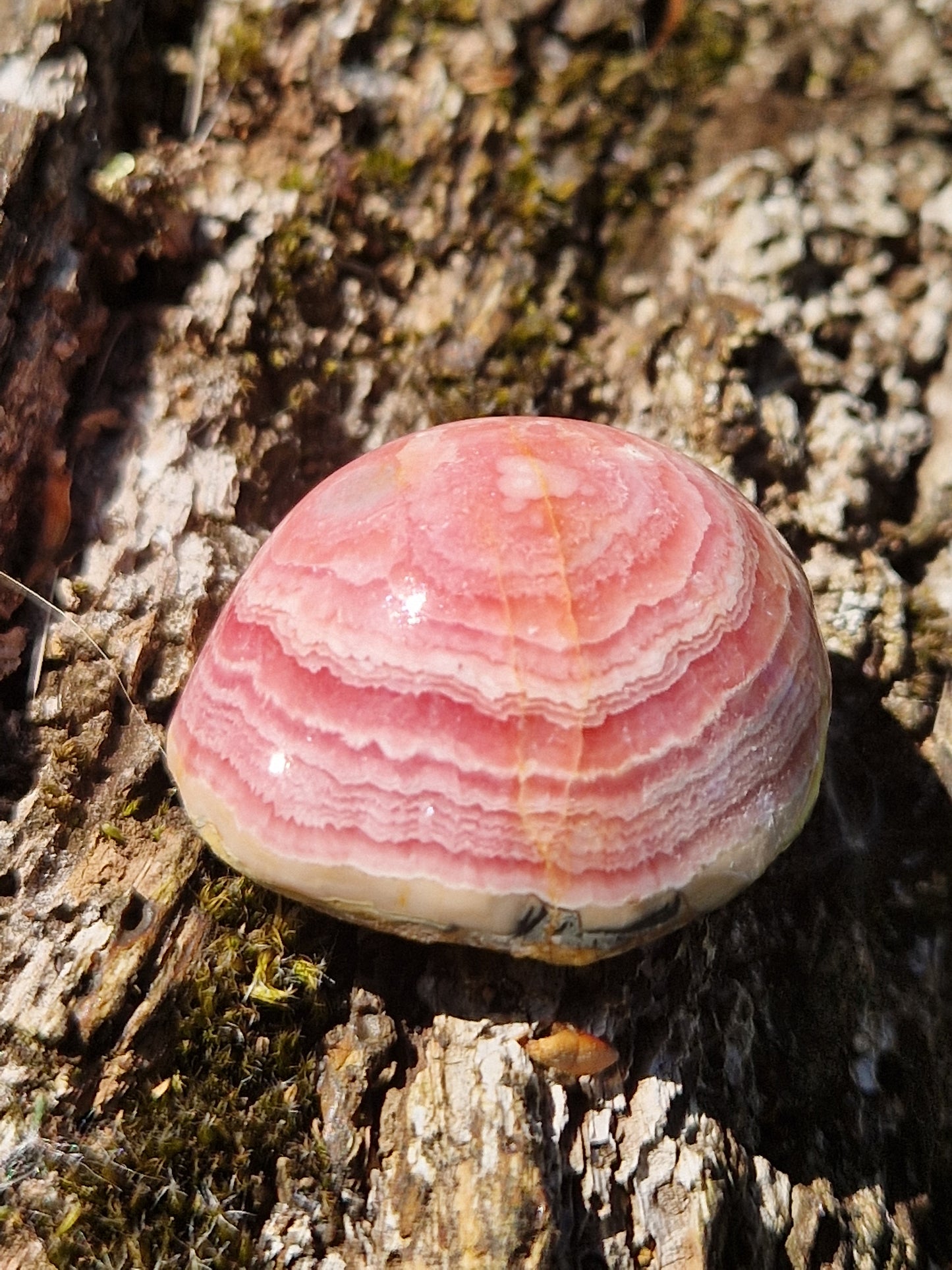 Rhodochrosite stalactite A