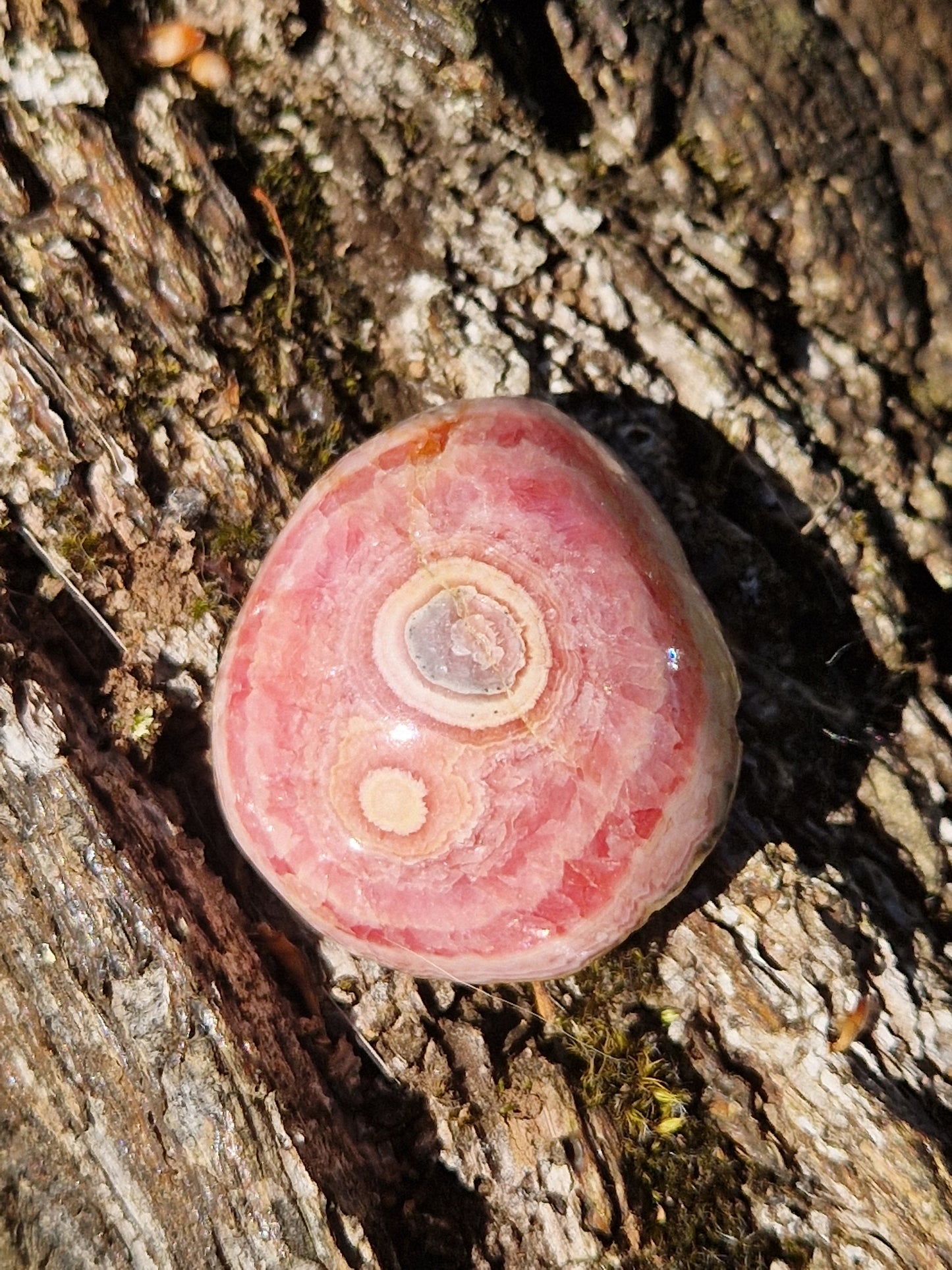 Rhodochrosite stalactite B