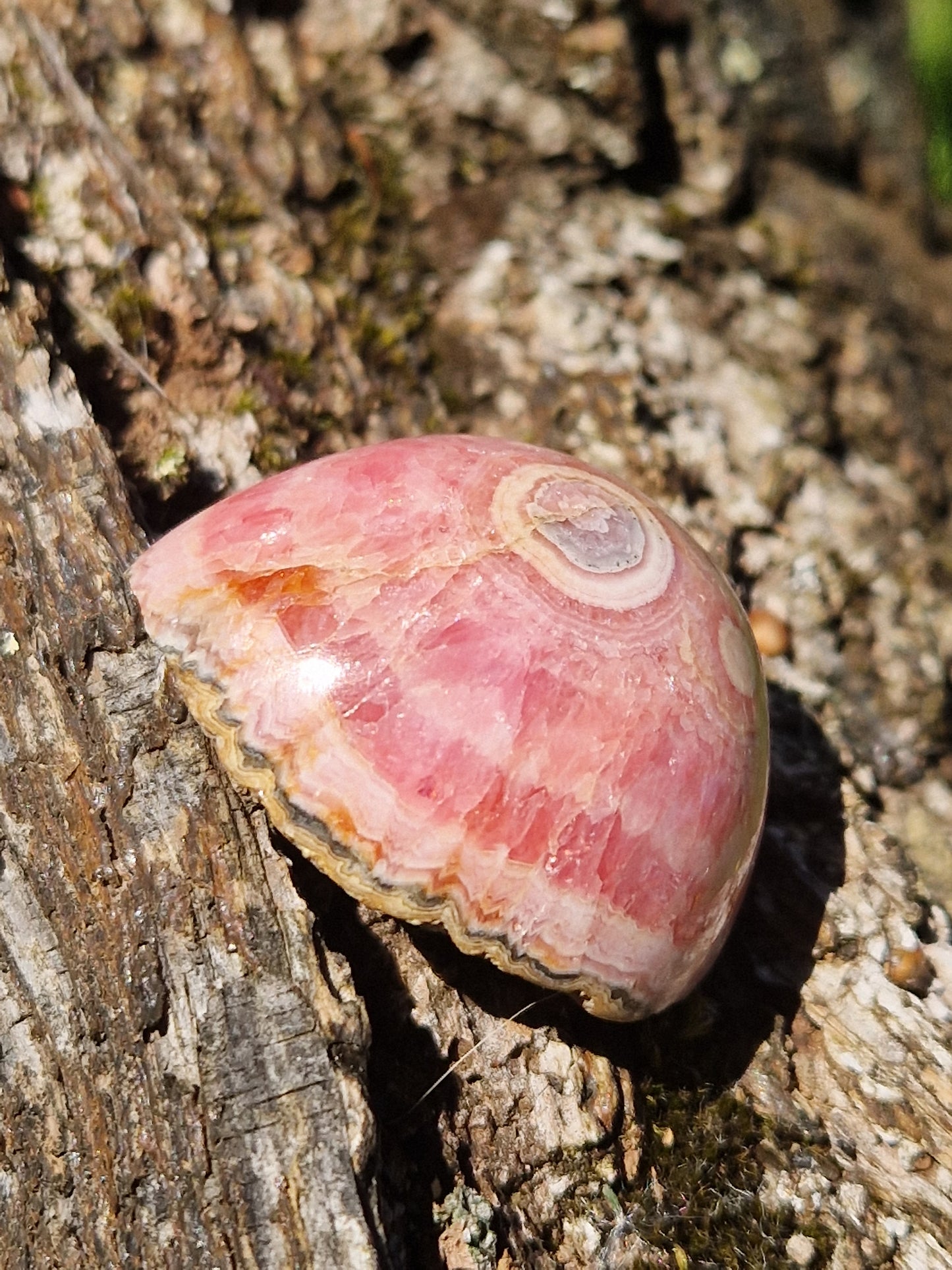 Rhodochrosite stalactite B