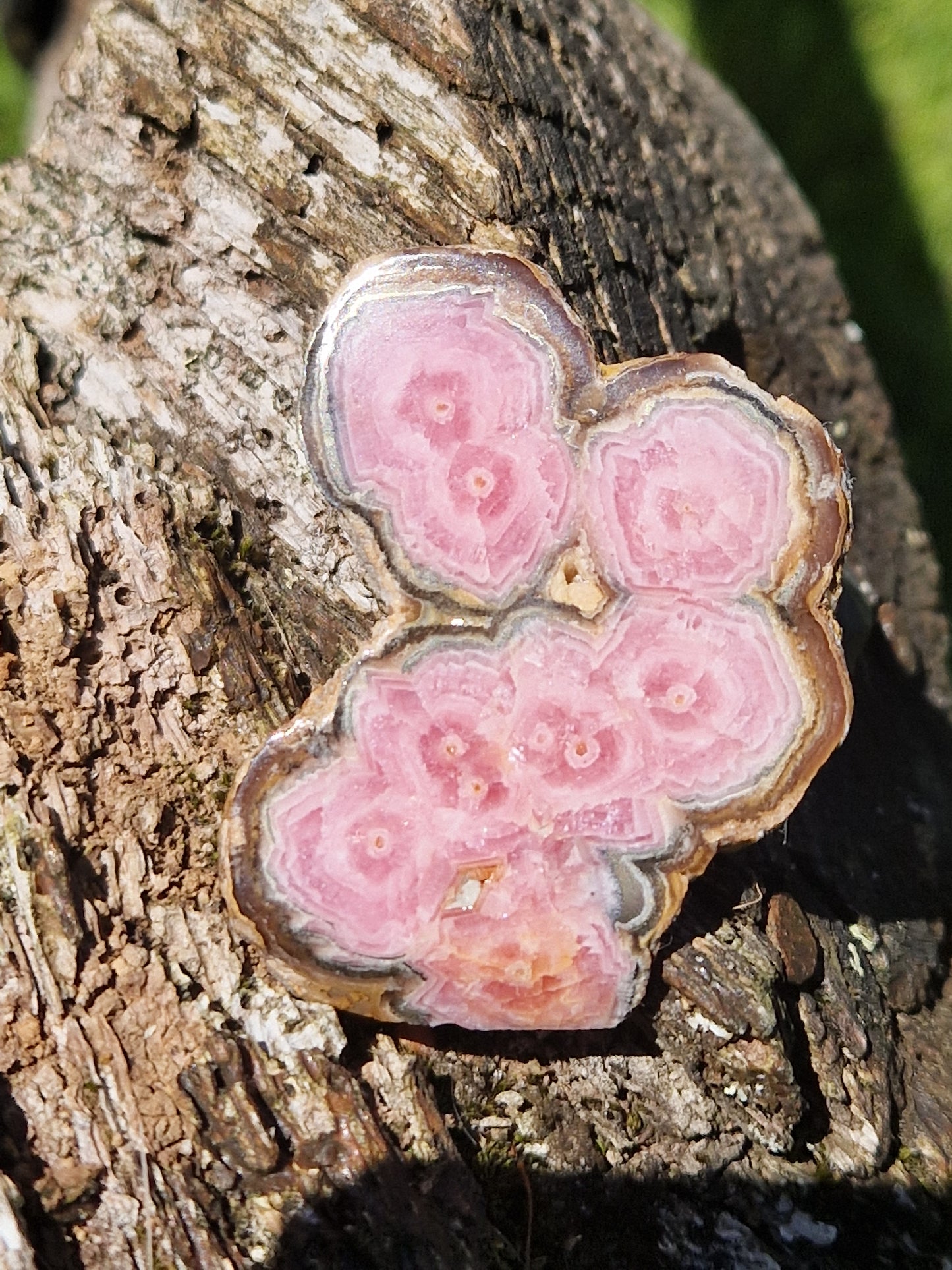 Rhodochrosite stalactite E