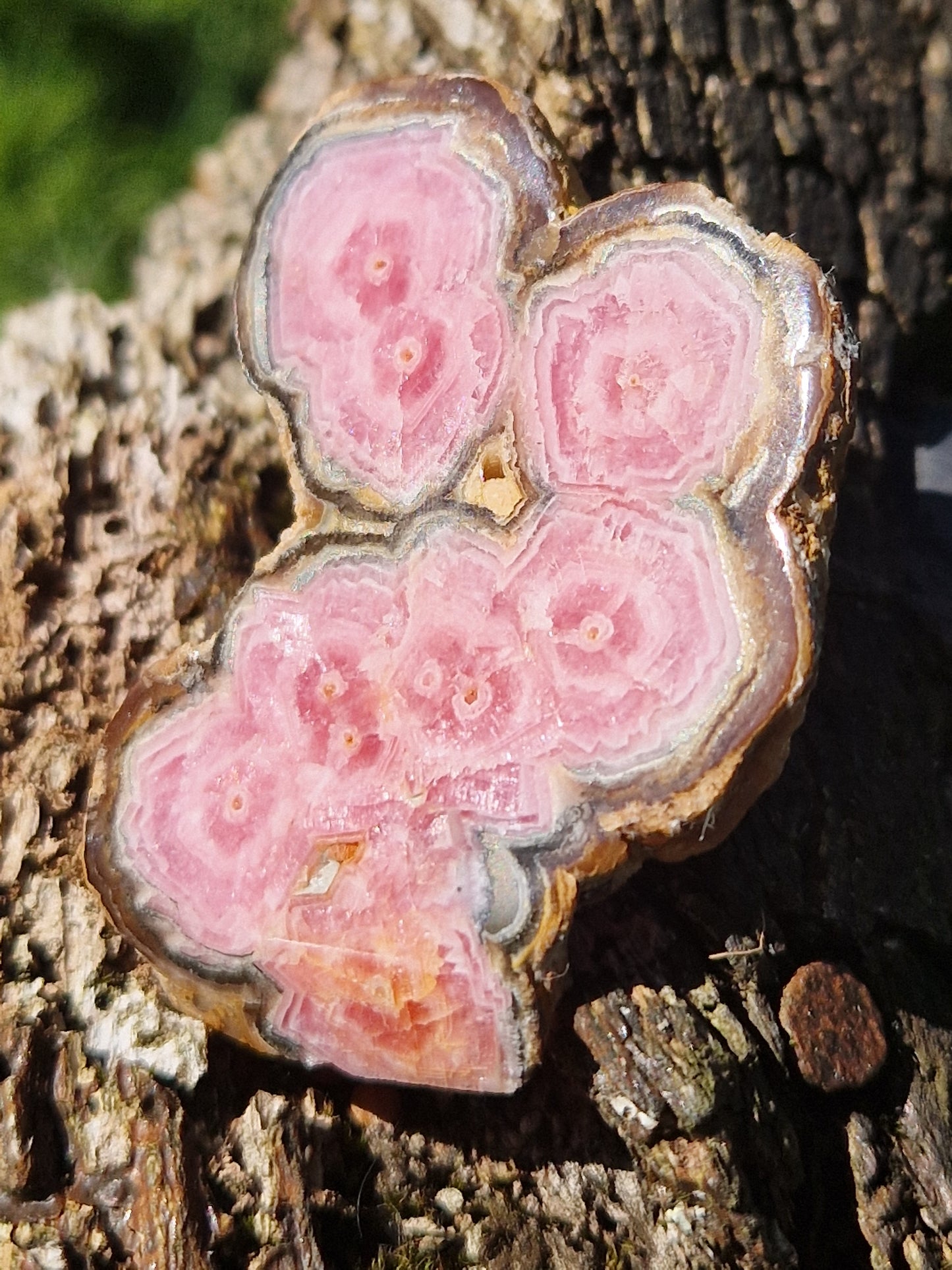 Rhodochrosite stalactite E