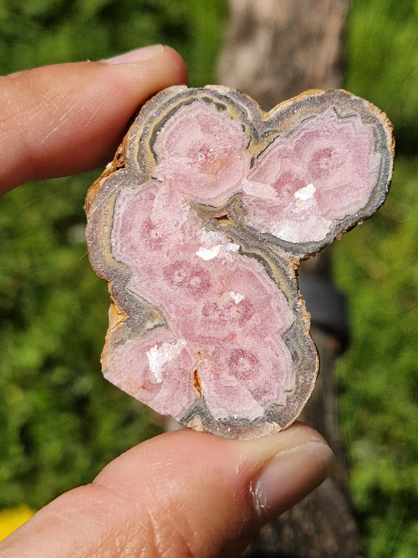 Rhodochrosite stalactite E