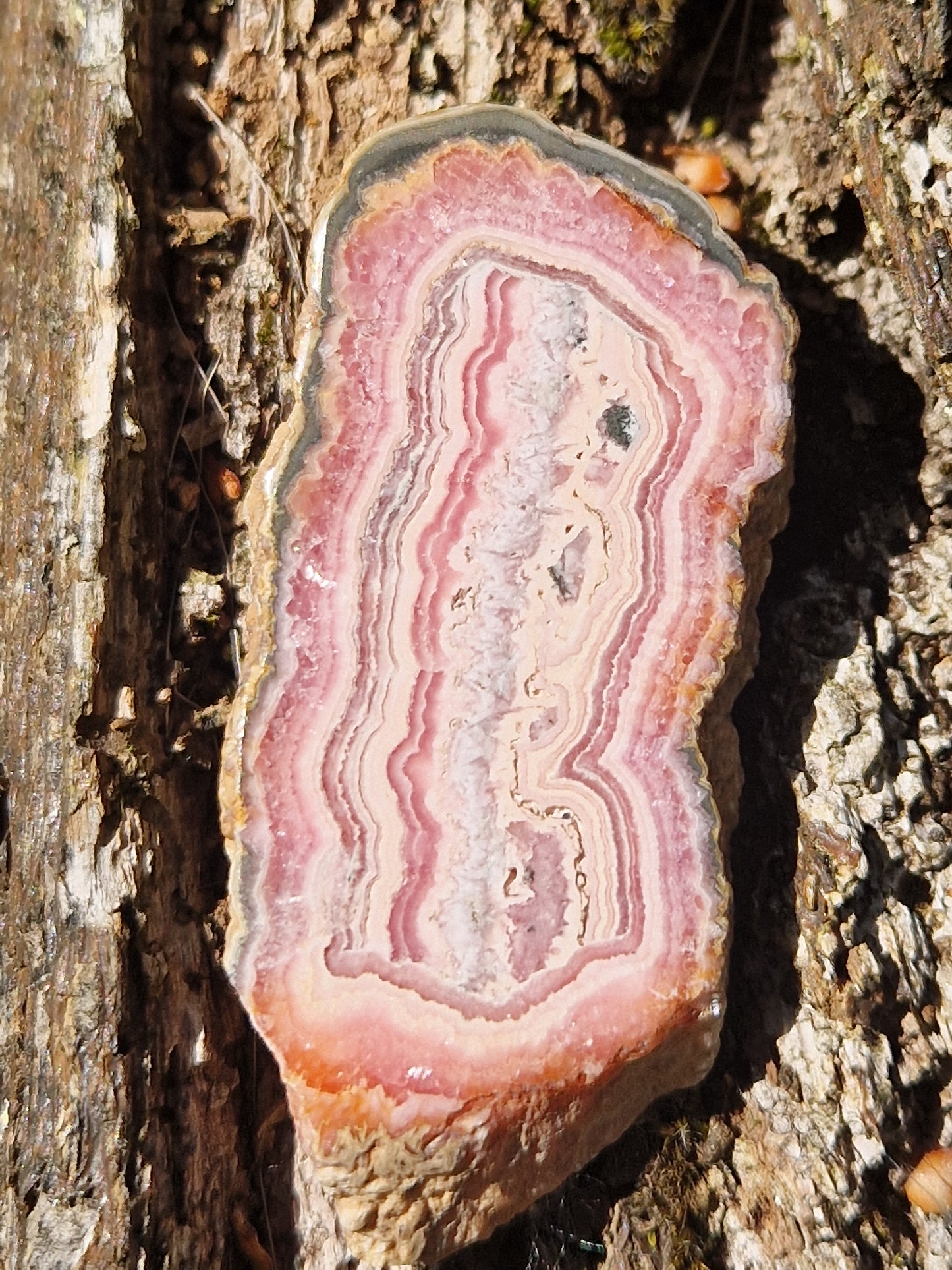 Tranche Rhodochrosite stalactite 8
