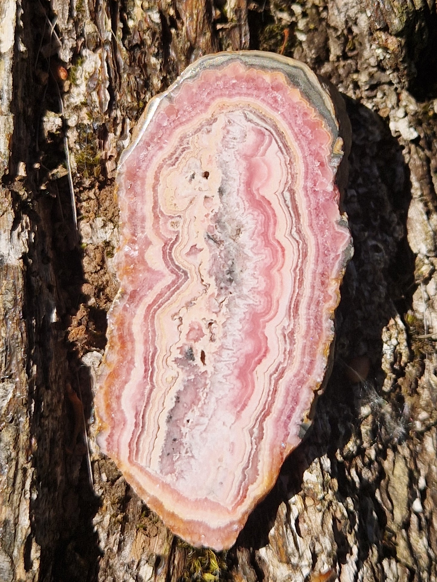 Tranche Rhodochrosite stalactite 8