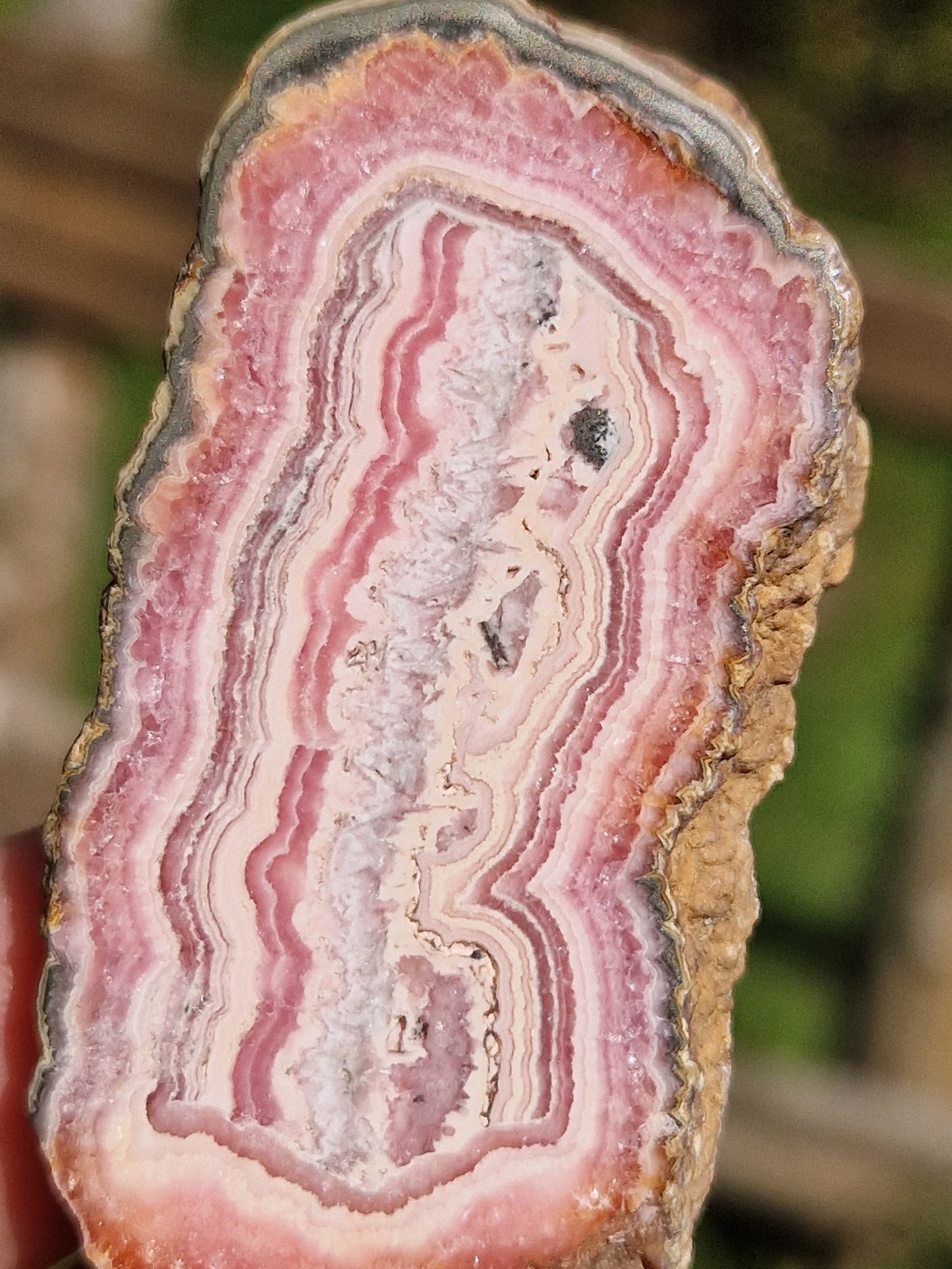 Tranche Rhodochrosite stalactite 8
