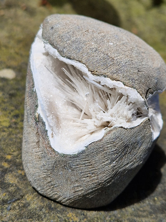 Géode Scolécite n°4