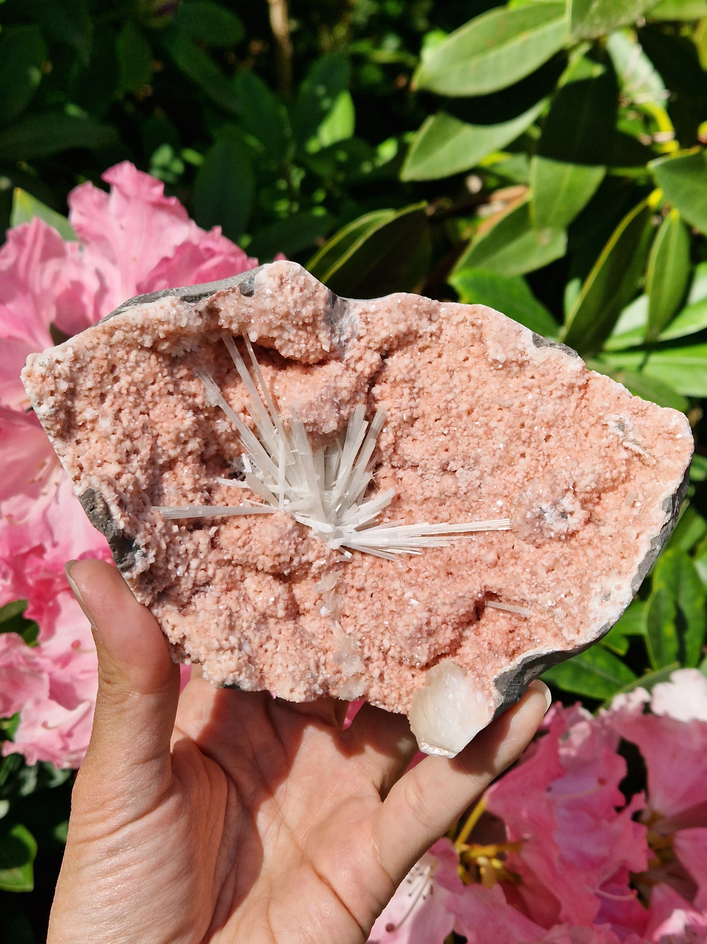 Scolécite sur Heulandite n°1