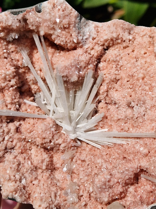 Scolécite sur Heulandite n°1