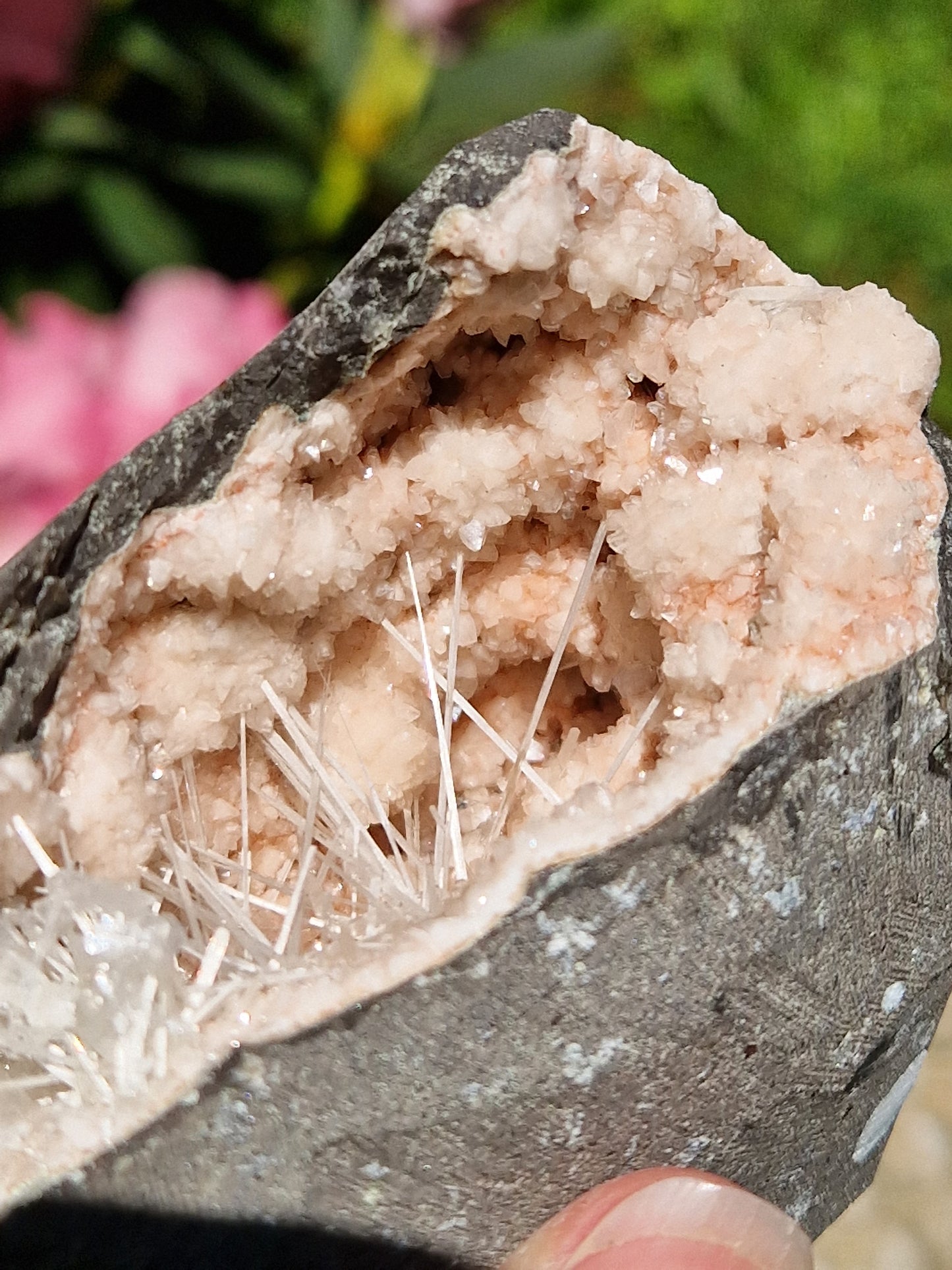Scolécite sur Heulandite n°4