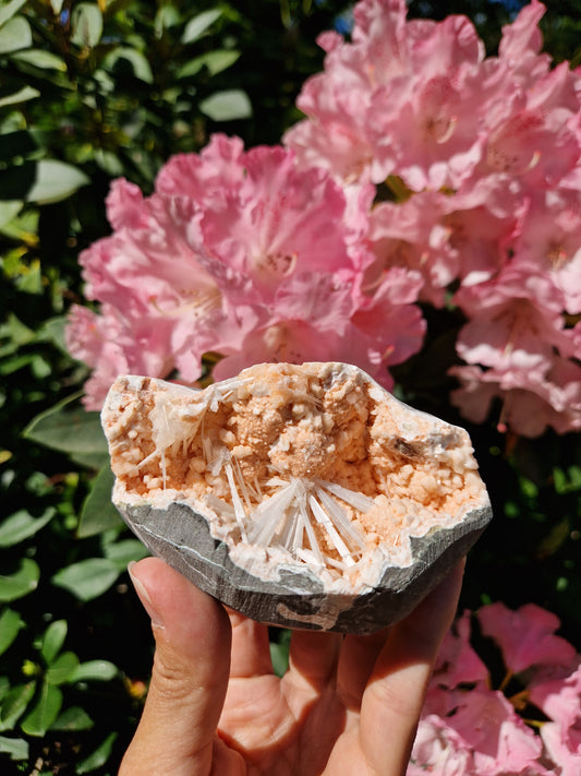 Scolécite sur Heulandite n°5