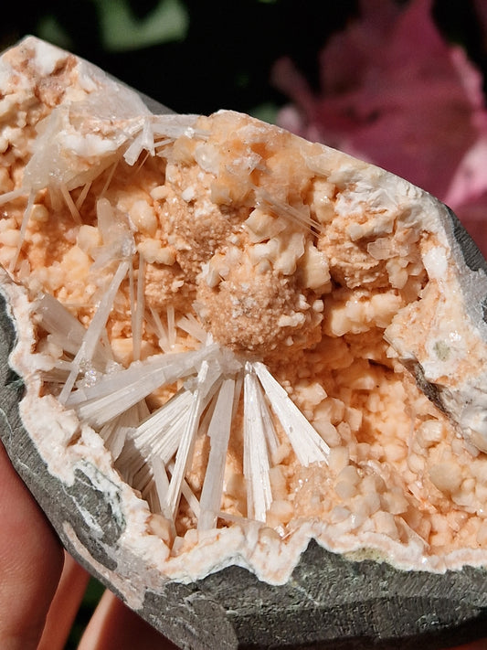 Scolécite sur Heulandite n°5