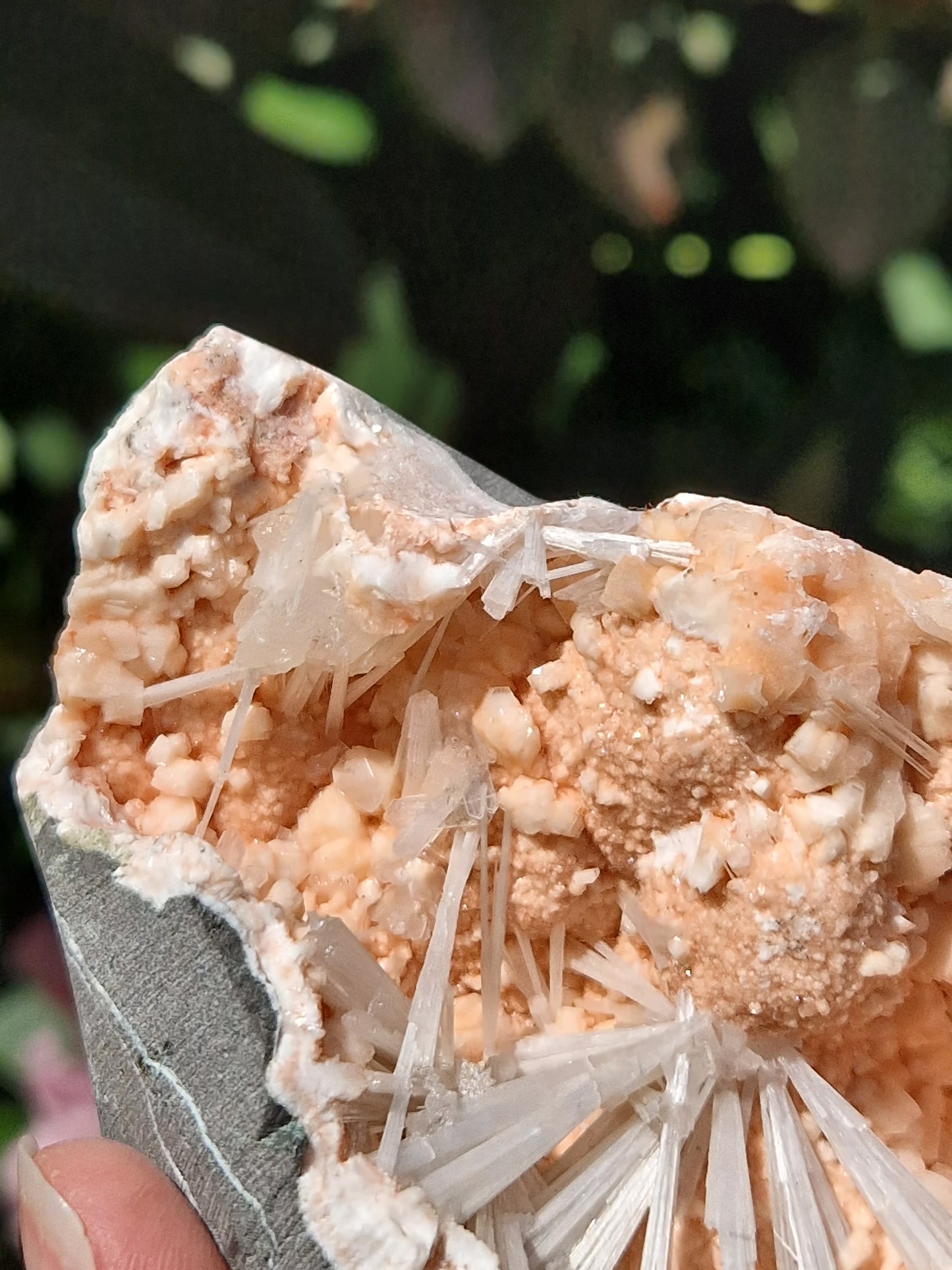 Scolécite sur Heulandite n°5