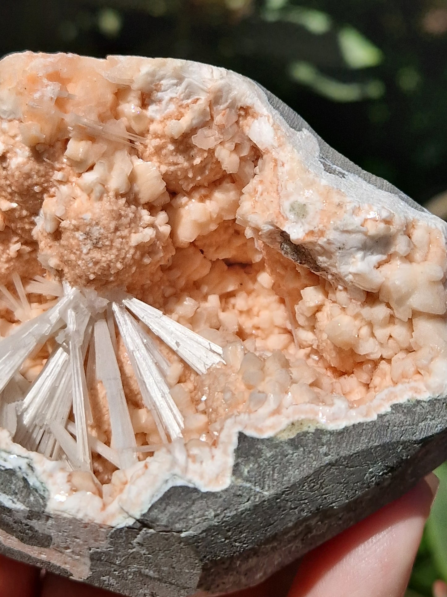 Scolécite sur Heulandite n°5