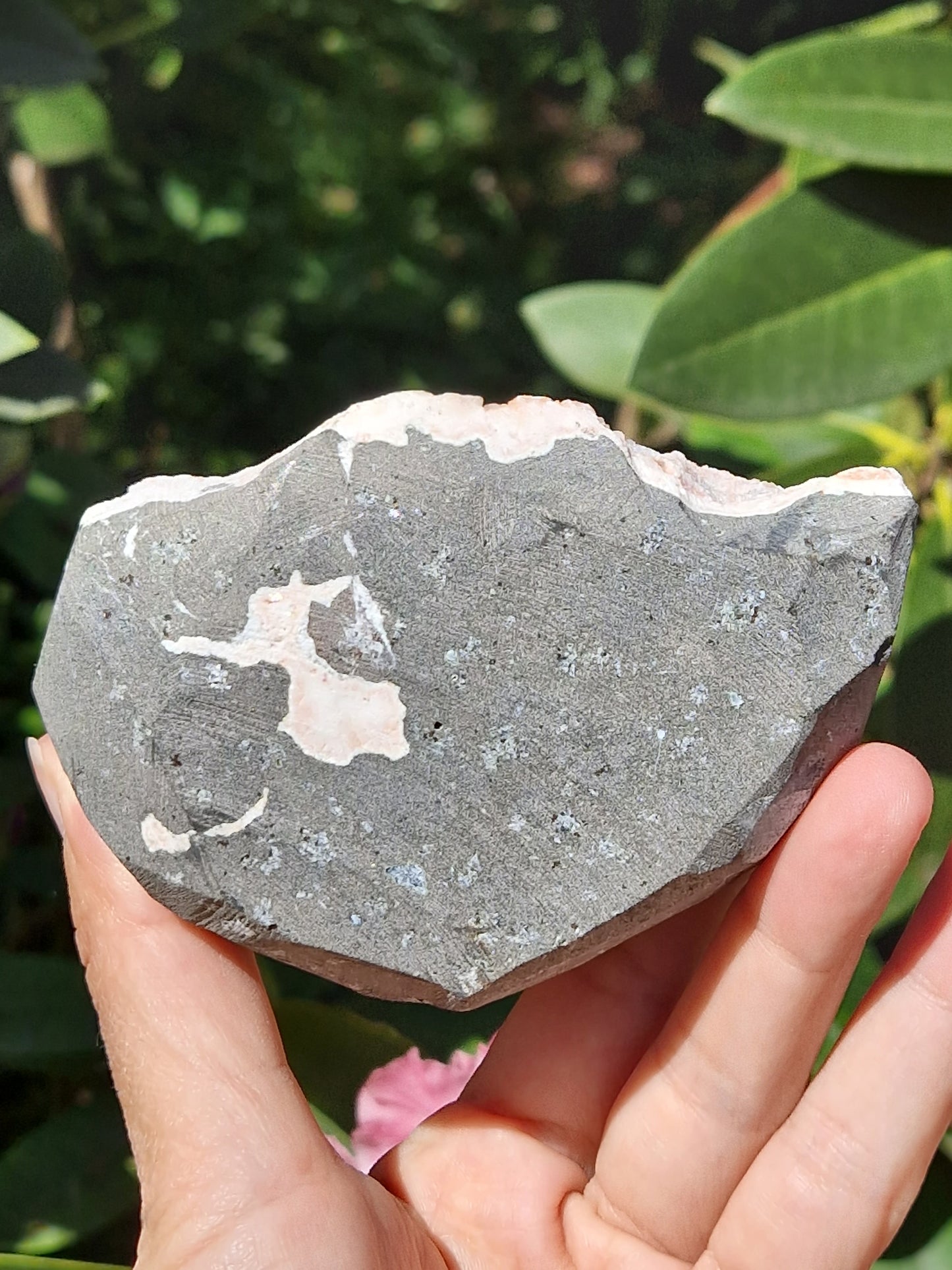 Scolécite sur Heulandite n°5