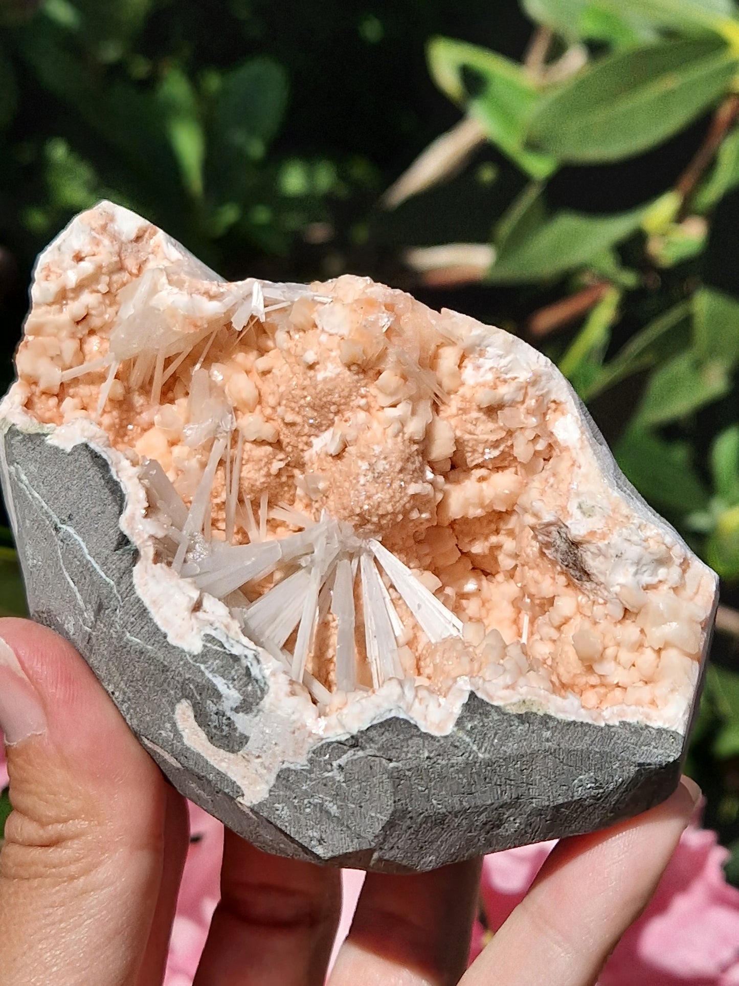 Scolécite sur Heulandite n°5