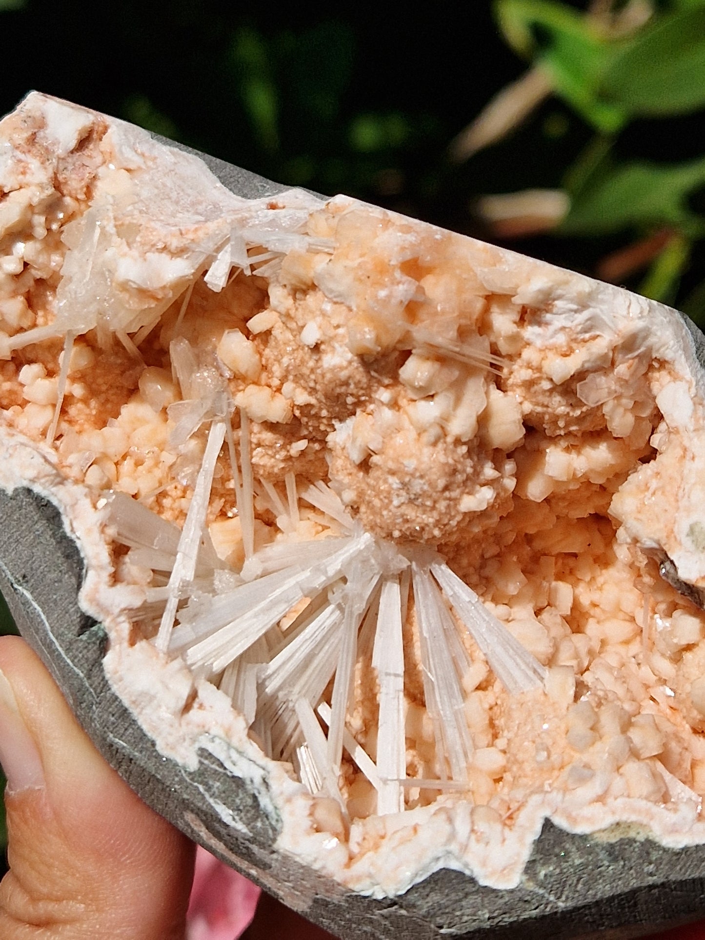 Scolécite sur Heulandite n°5