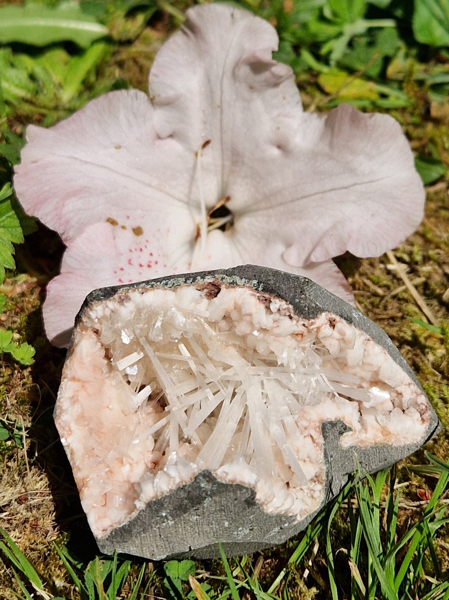 Scolécite sur Heulandite n°8