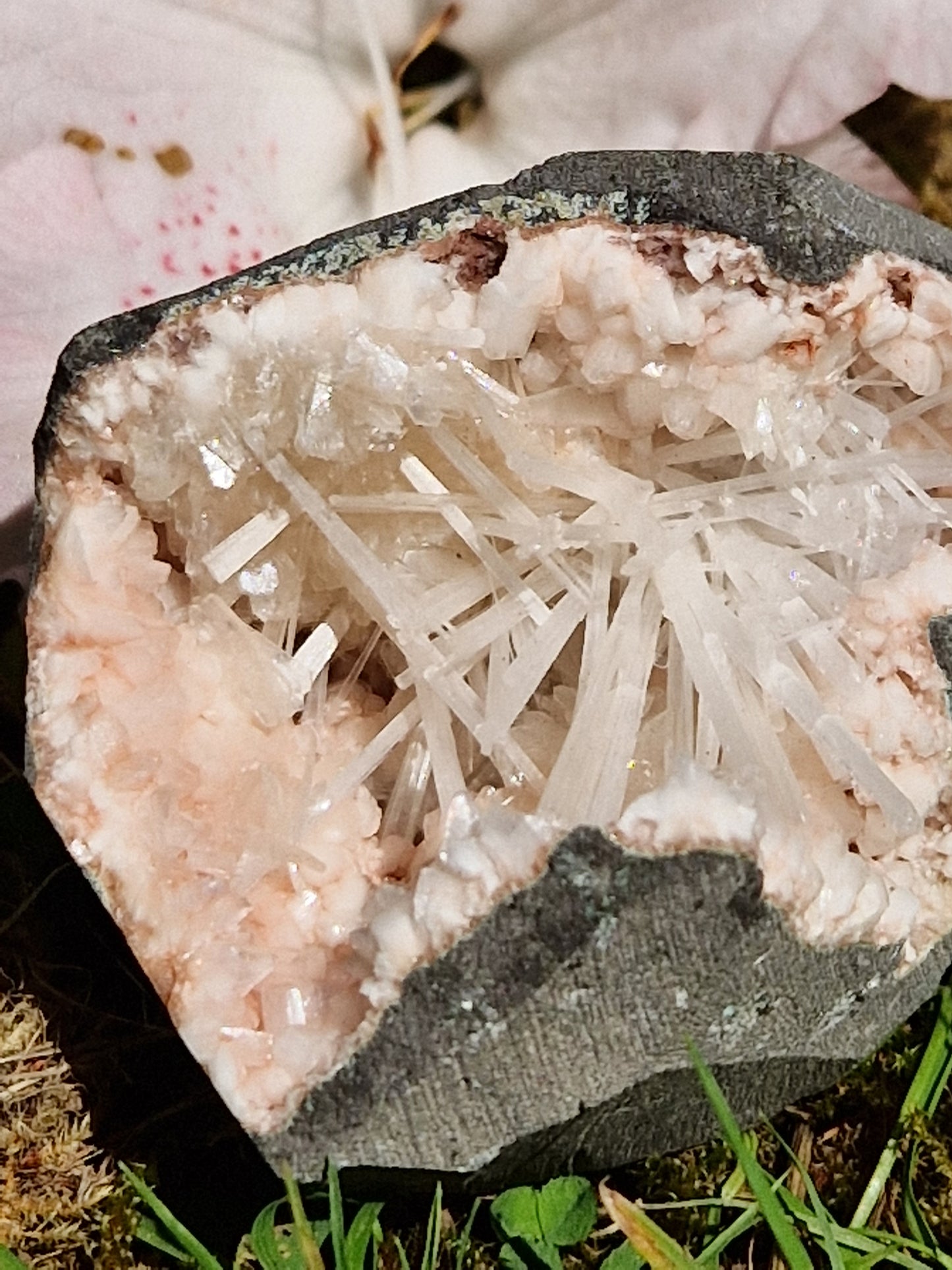 Scolécite sur Heulandite n°8