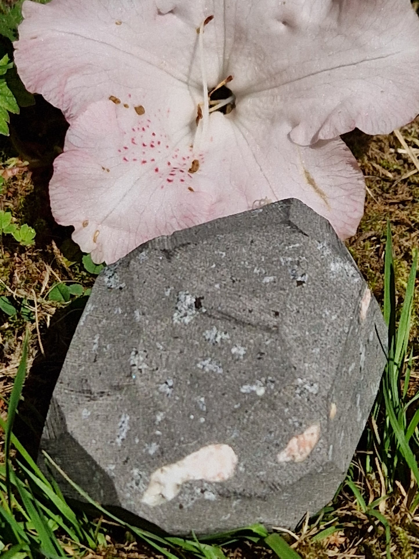 Scolécite sur Heulandite n°8