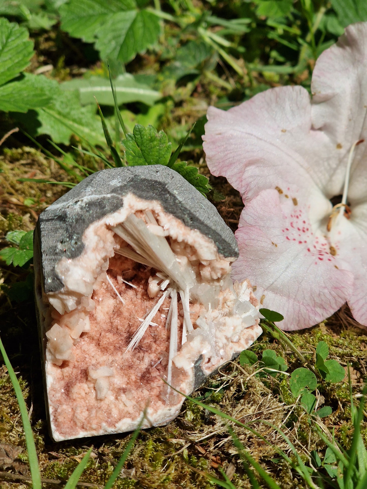 Scolécite sur Heulandite n°10
