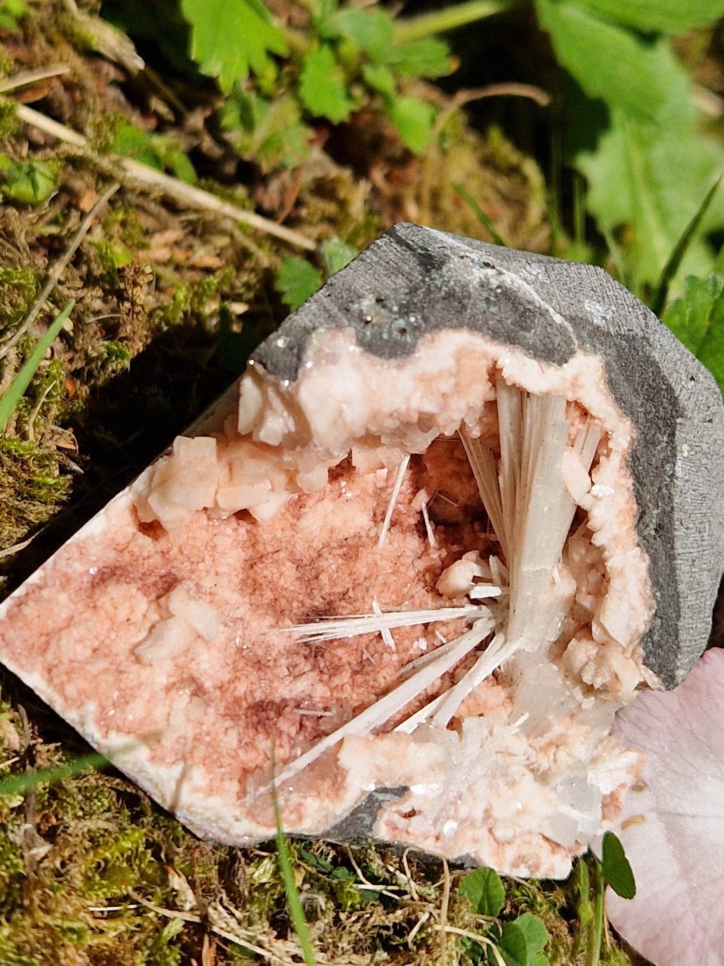 Scolécite sur Heulandite n°10