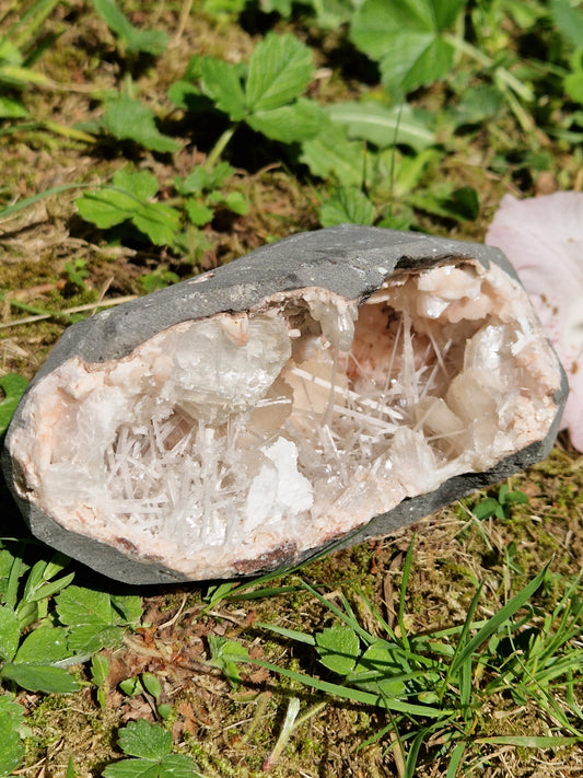 Scolécite sur Heulandite et stilbite n°13