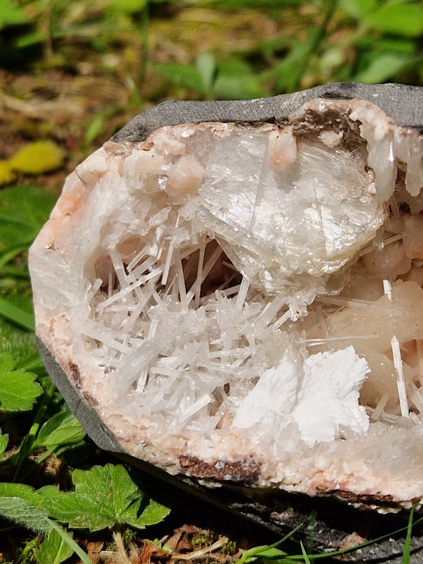 Scolécite sur Heulandite et stilbite n°13