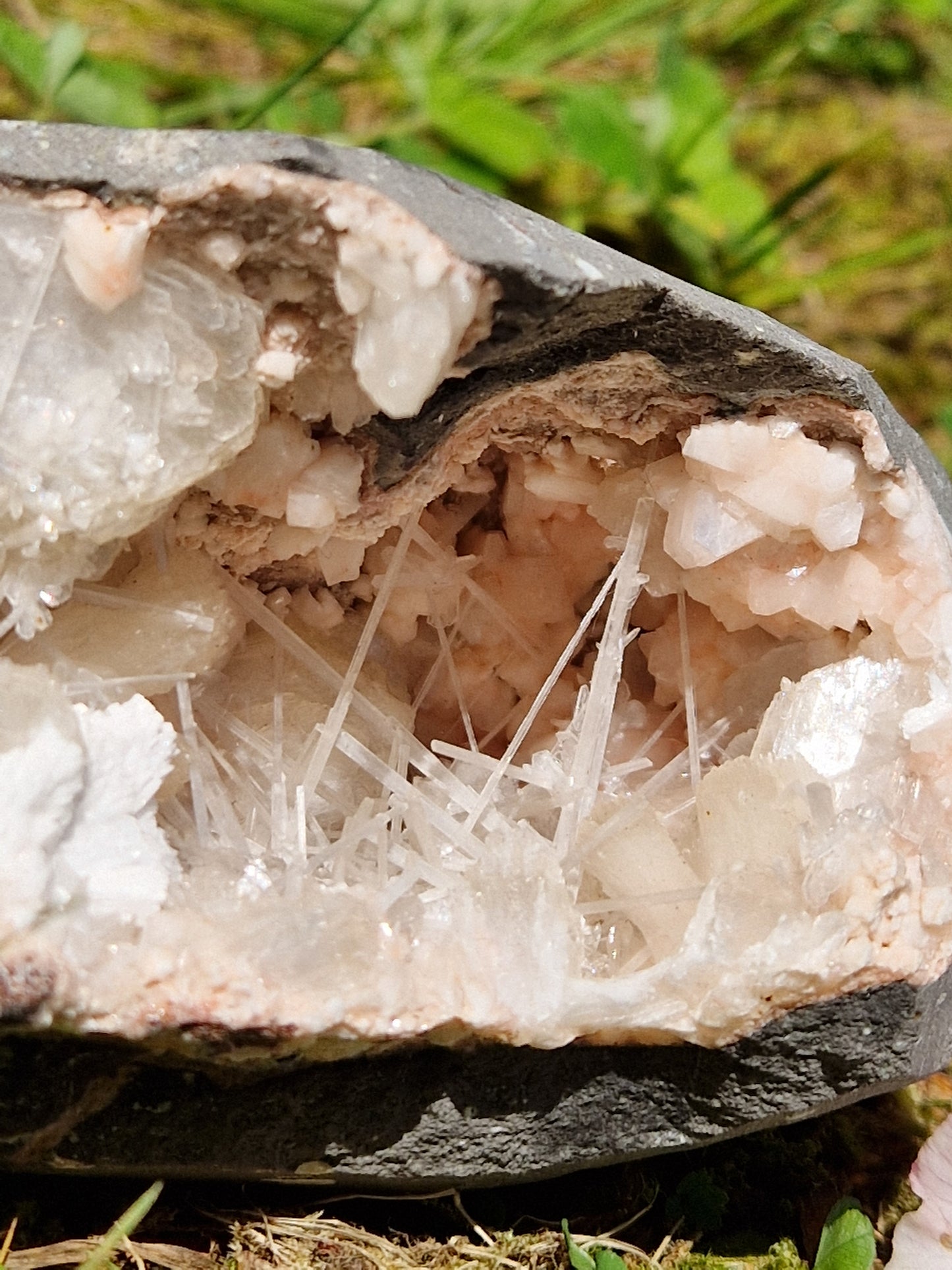 Scolécite sur Heulandite et stilbite n°13