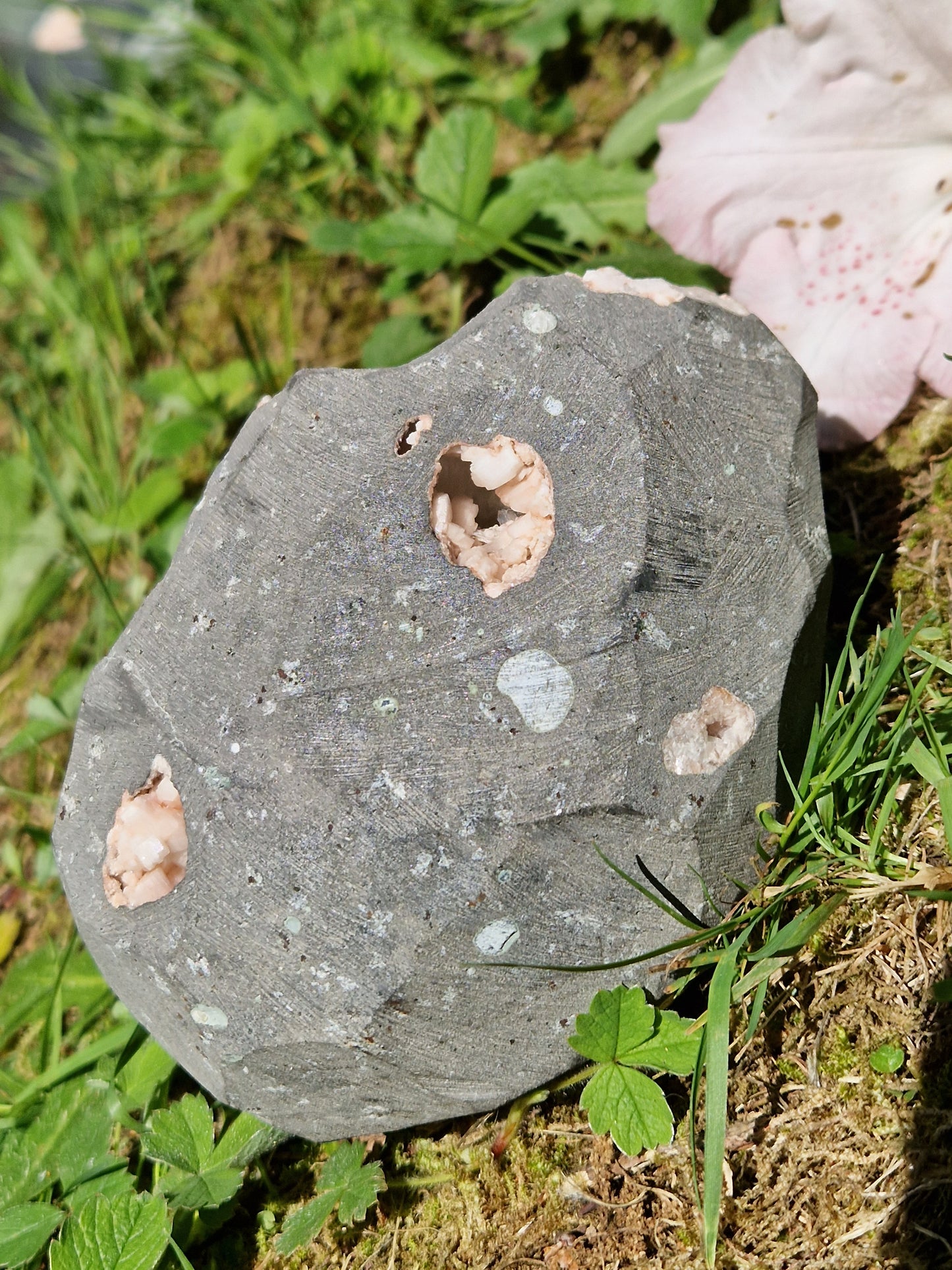 Scolécite sur Heulandite et stilbite n°13
