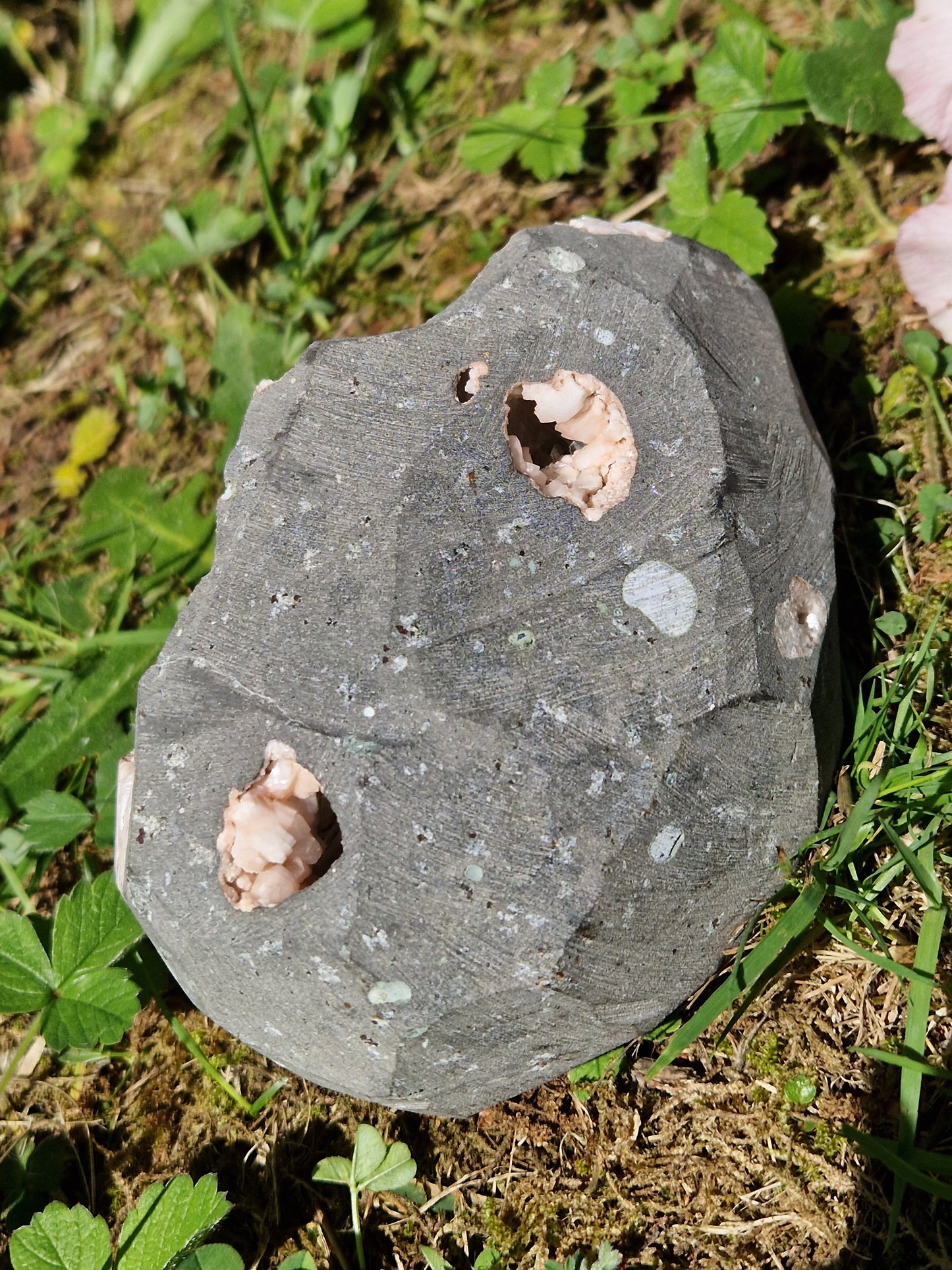 Scolécite sur Heulandite et stilbite n°13