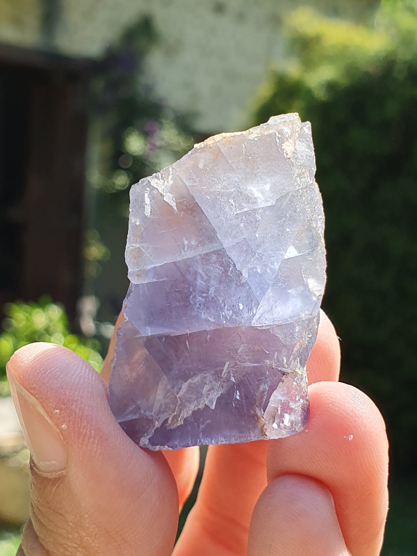 Fluorite bleue française (à choisir)