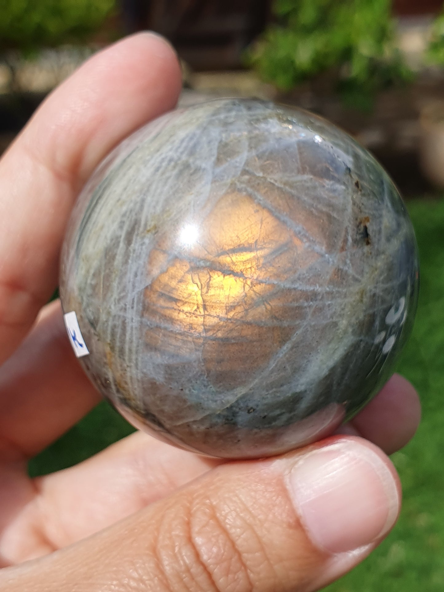 Sphère Labradorite M