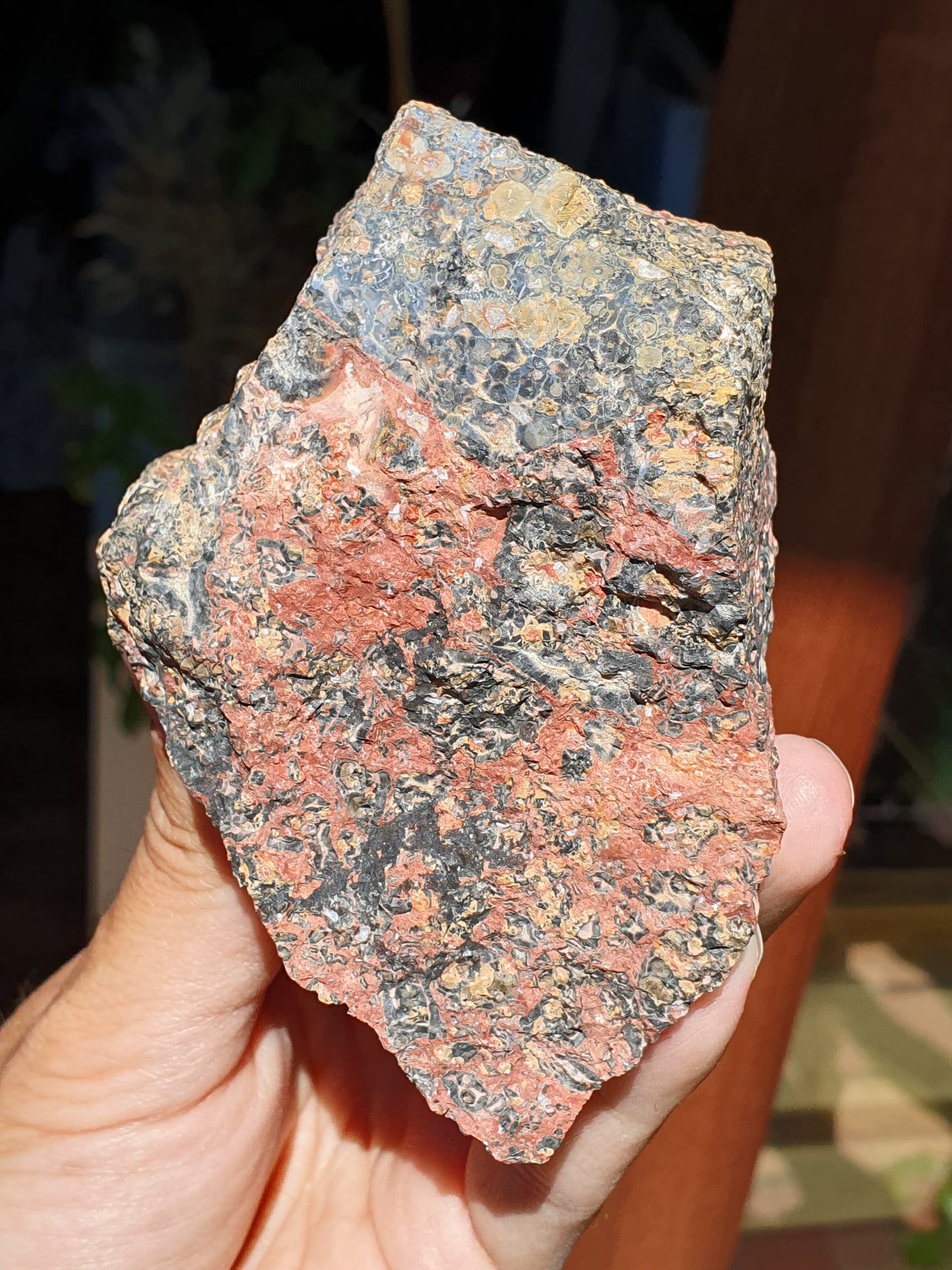 Léopardite brute / Jaspe léopard (à choisir)