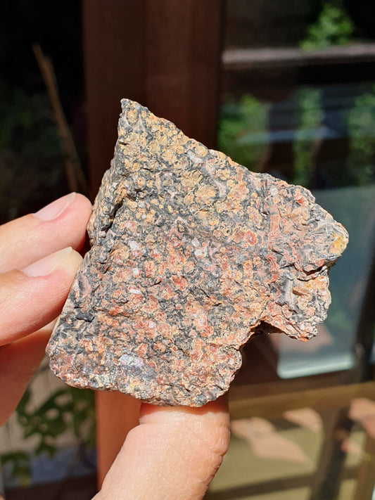 Léopardite brute / Jaspe léopard (à choisir)