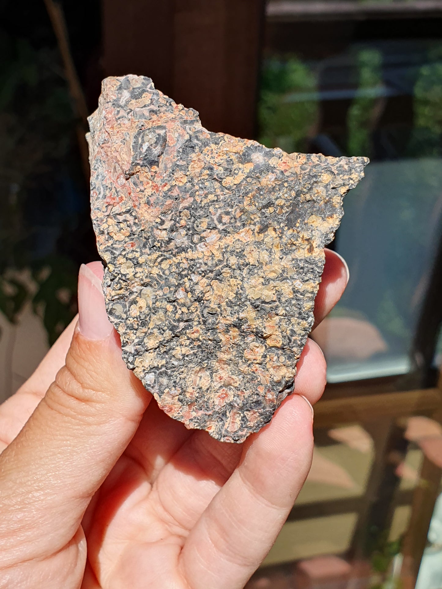 Léopardite brute / Jaspe léopard (à choisir)