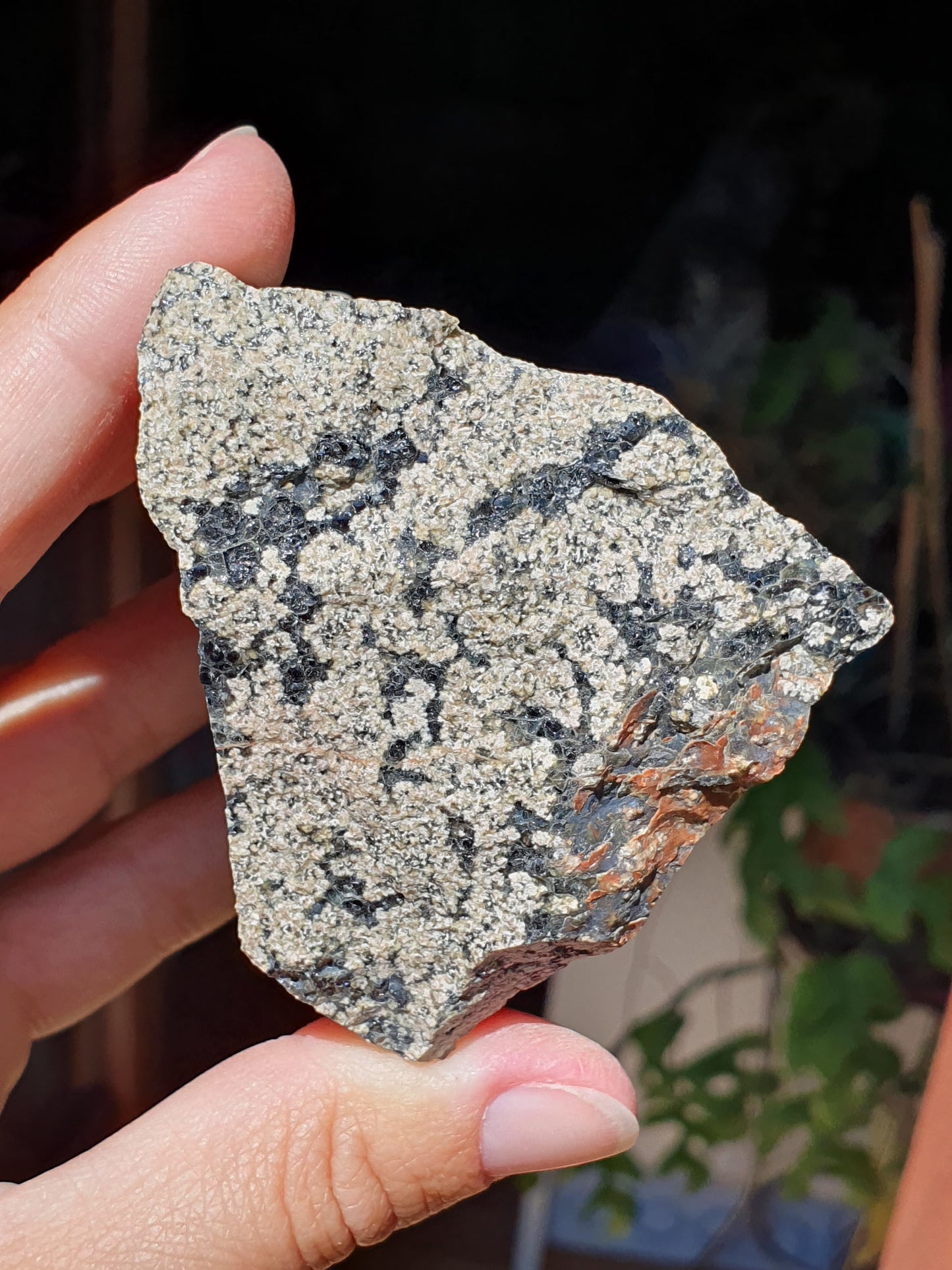 Léopardite brute / Jaspe léopard (à choisir)