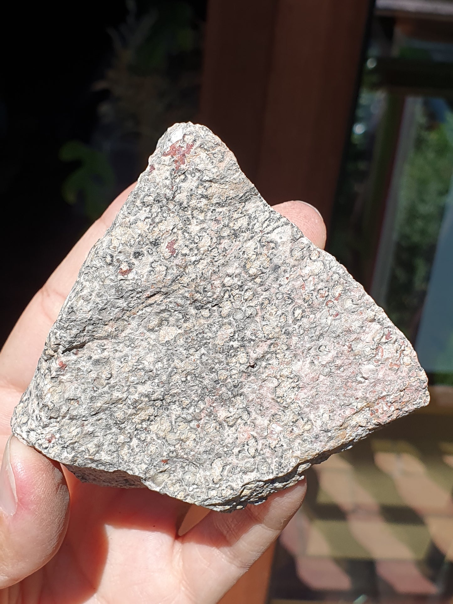 Léopardite brute / Jaspe léopard (à choisir)