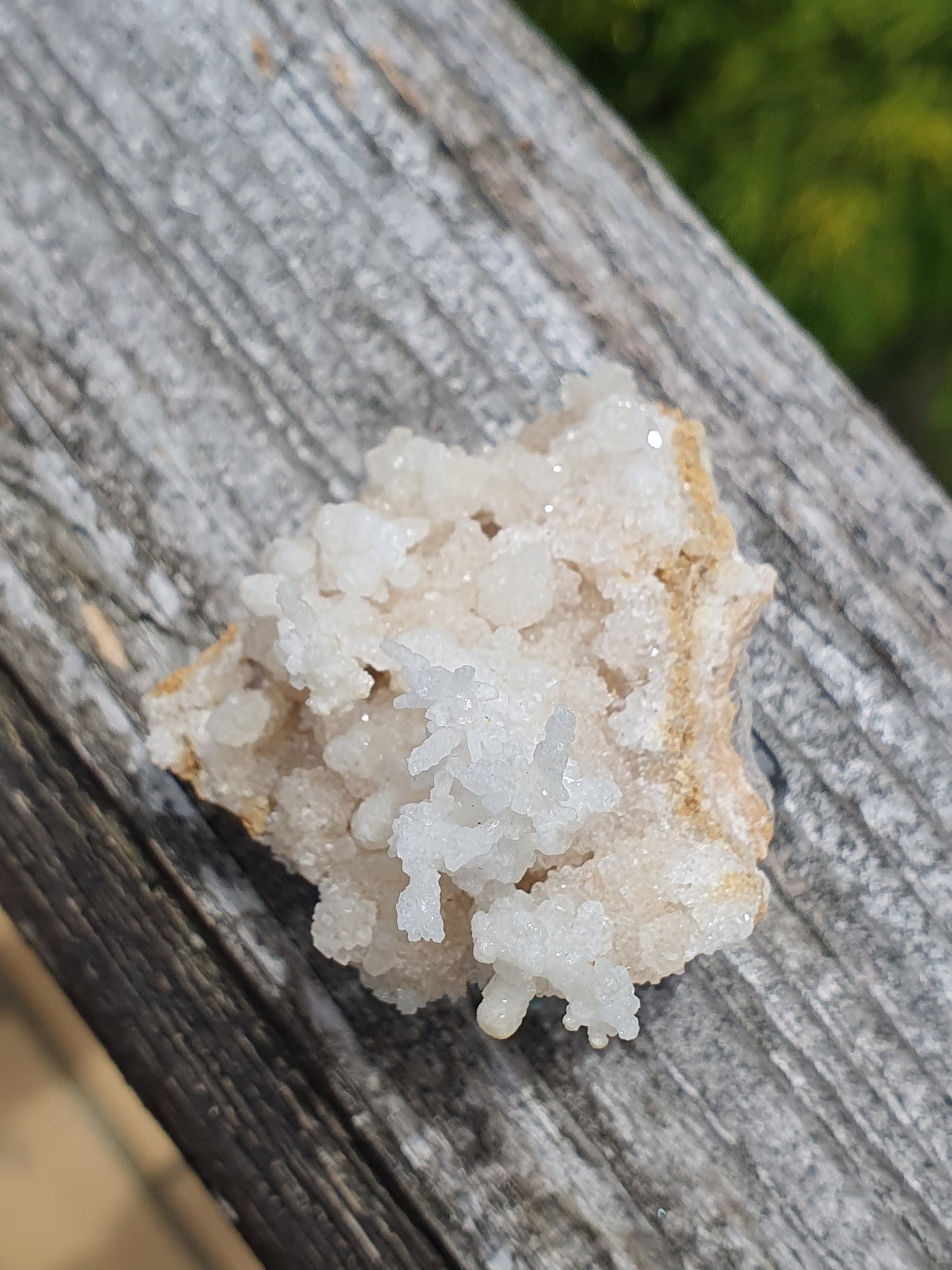 Aragonite corollaire française 9