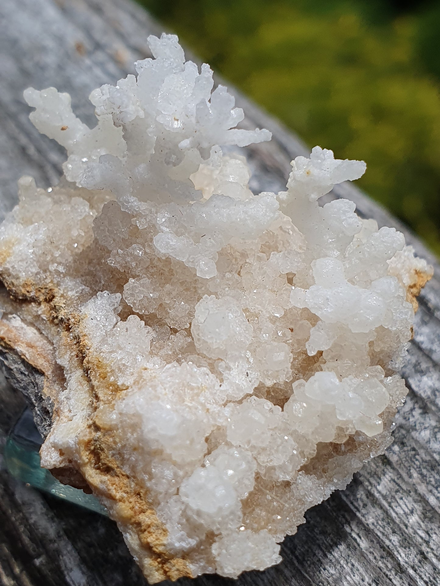Aragonite corollaire française 9