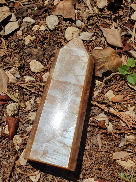 Pointe Pierre de Lune orange O4