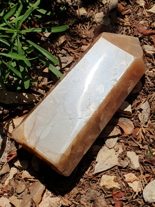 Pointe Pierre de Lune orange O7