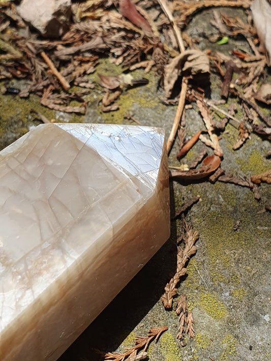 Pointe Pierre de Lune orange O8