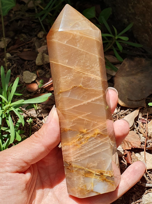 Pointe Pierre de Lune orange O9