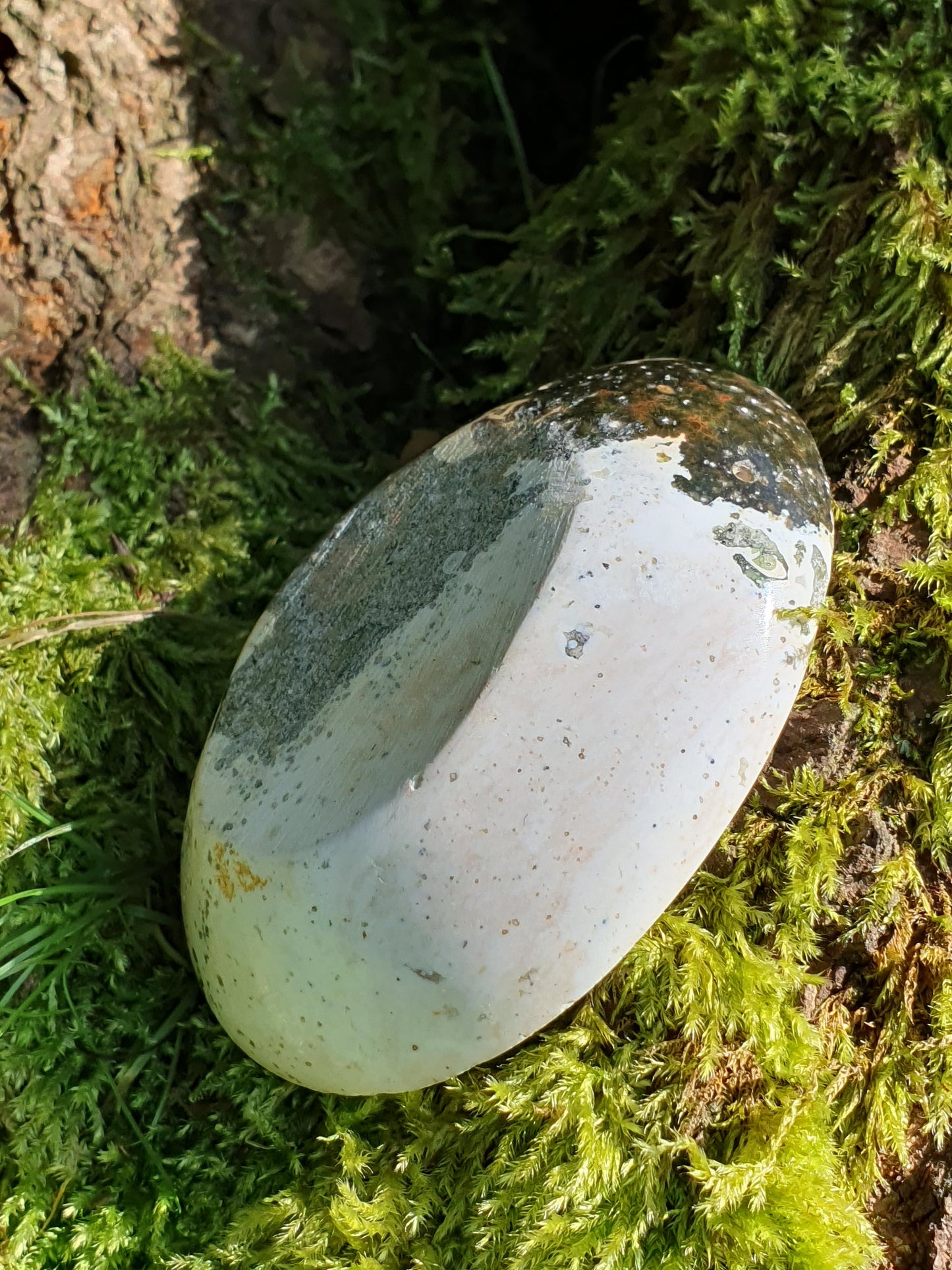 Coupelle Jaspe océan G