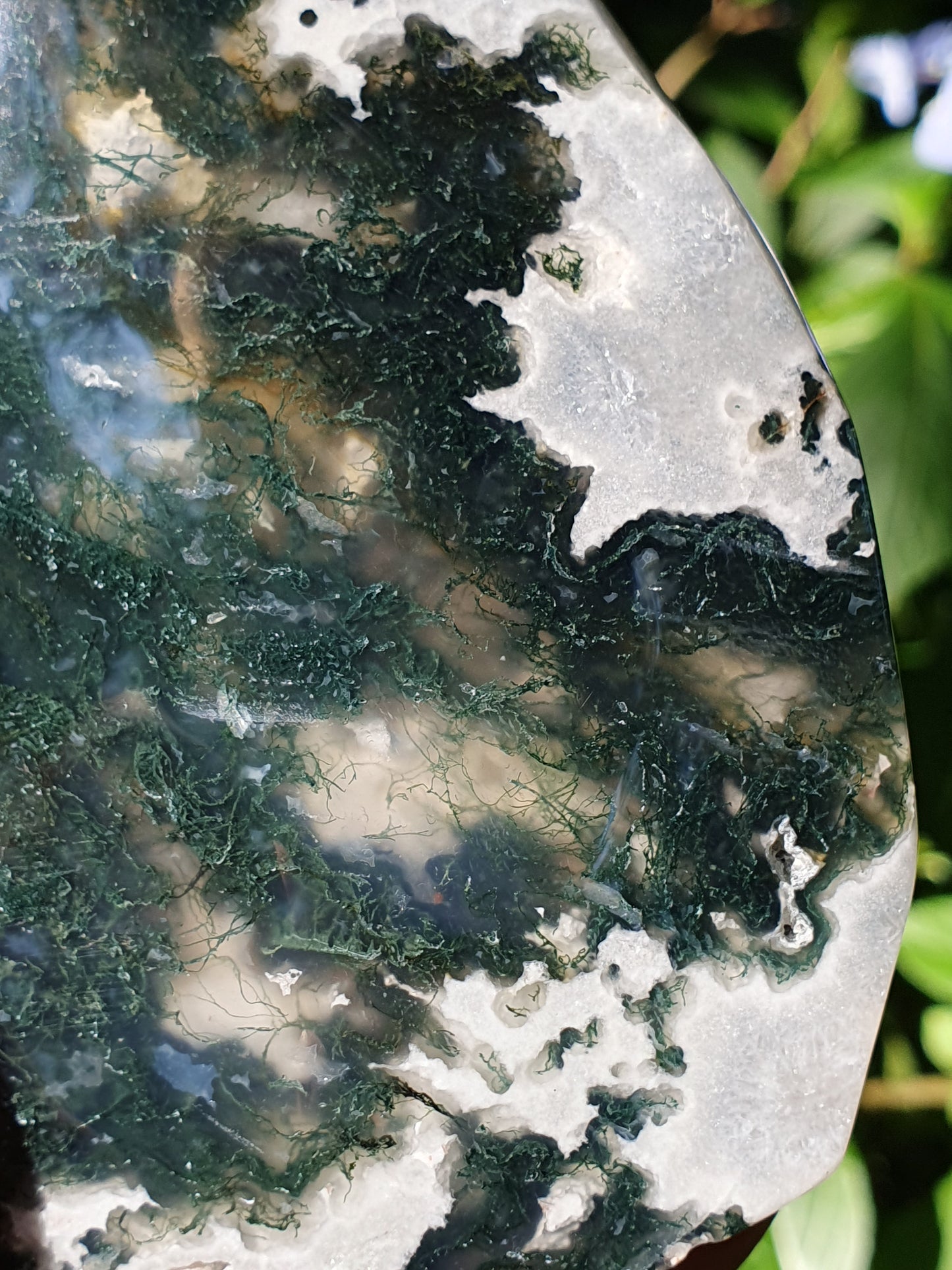 Flamme Agate mousse F11