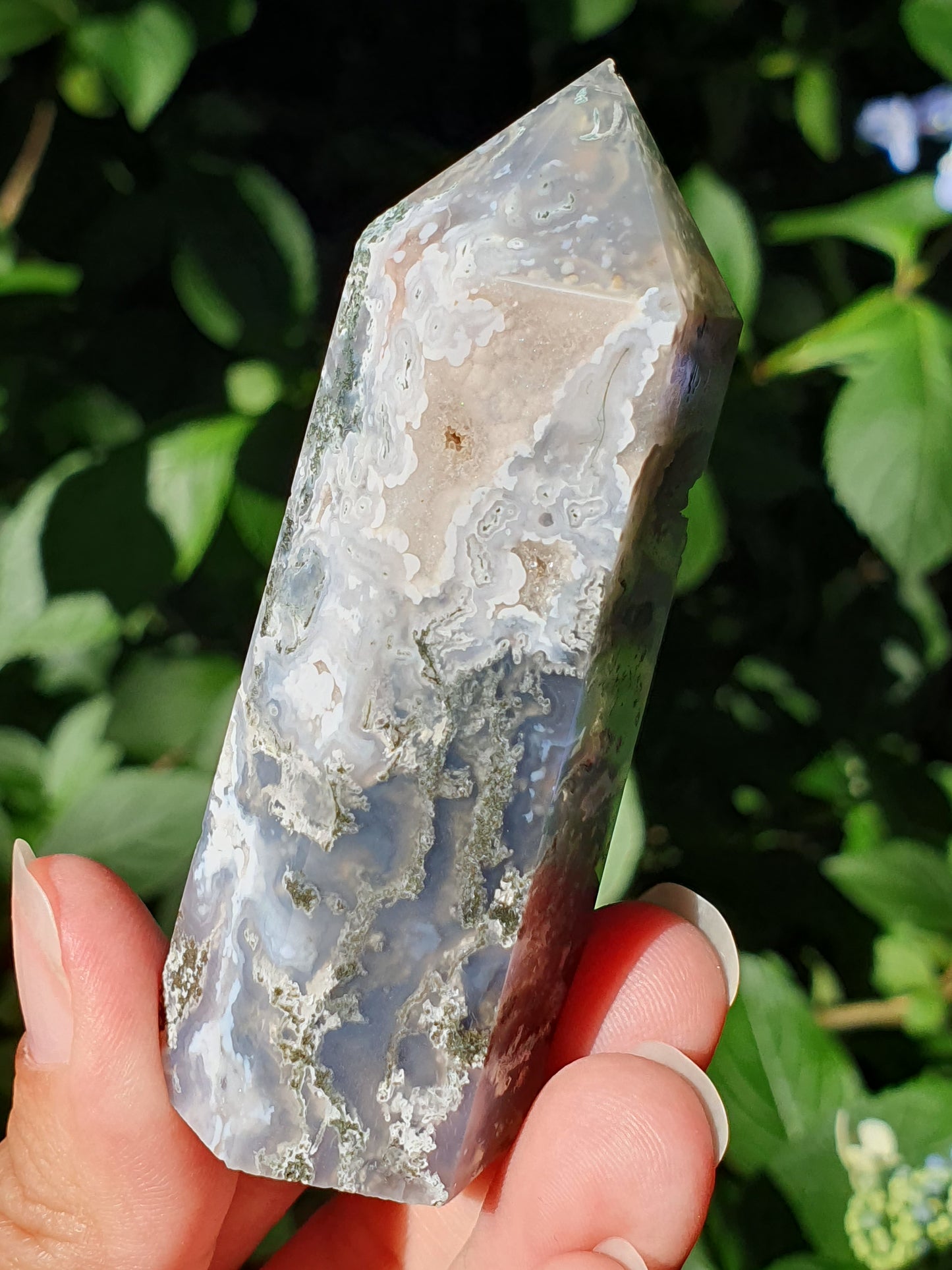 Pointe Agate mousse B